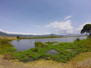 GOPR1158_R (2)