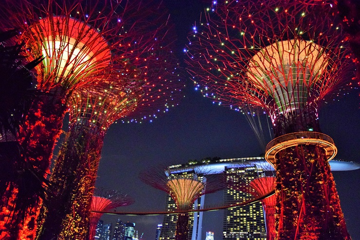 近未来植物園　ー　シンガポール
