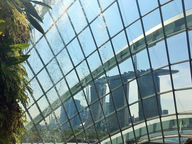 シンガポールで行ってみたい、近未来植物園