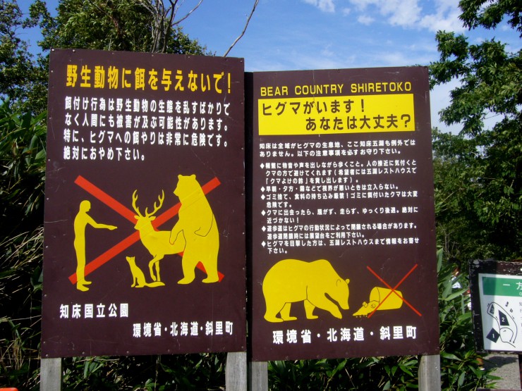 日本に残る秘境、世界自然遺産認定１０周年を迎える知床半島に出かけてみよう！