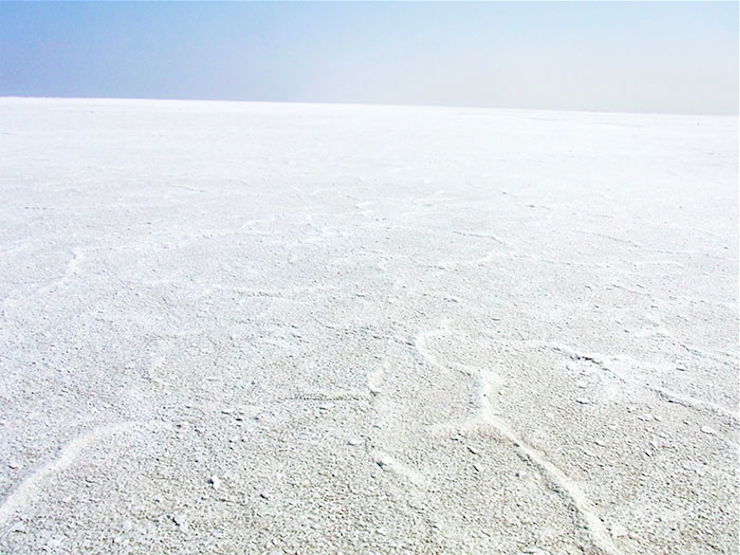 ウユニだけじゃない！インドにもある超穴場スポット、塩の砂漠へのご案内