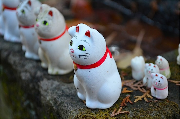 【東京散歩】招き猫発祥の地、東京世田谷区「豪徳寺」で晩秋を感じる散策をしてみてはいかがでしょうか？