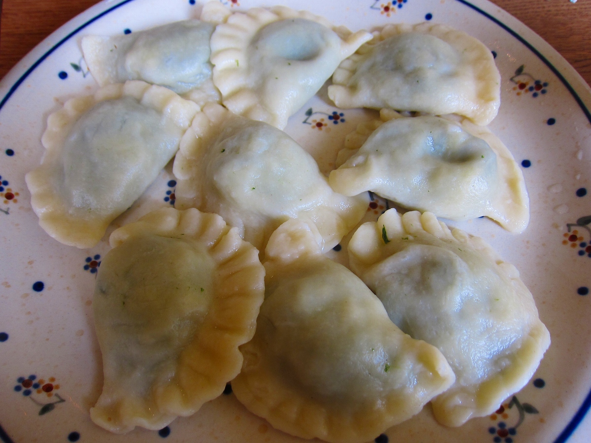 このもちもち感がやみつき！ポーランドの餃子「ピエロギ」を食べてみた GOTRIP! 明日、旅に行きたくなるメディア