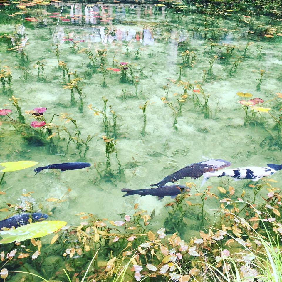 世界の絶景】岐阜県関市の「モネの池」は印象派の絵画のような美しい 