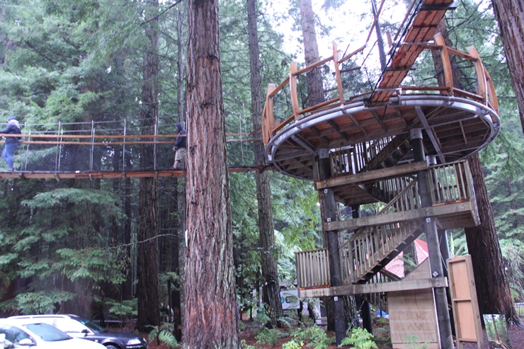 ニュージーランド ロトルア 樹齢110年以上の木々の間を歩くツリーウォーク体験ができるレッドウッド フォレスト The Redwoods Gotrip 明日 旅に行きたくなるメディア
