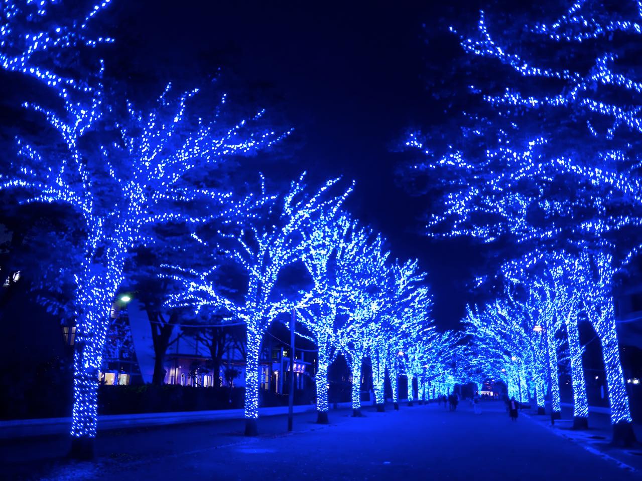 渋谷の冬を彩るLEDイルミネーションが神秘的な「青の洞窟 SHIBUYA」へ 