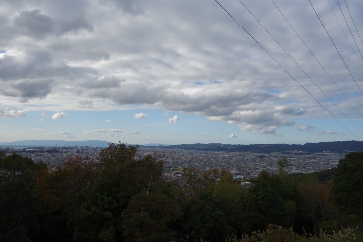 山が丸ごと博物館！和歌山県の紀伊風土記の丘で古代へと時空旅行してみませんか？