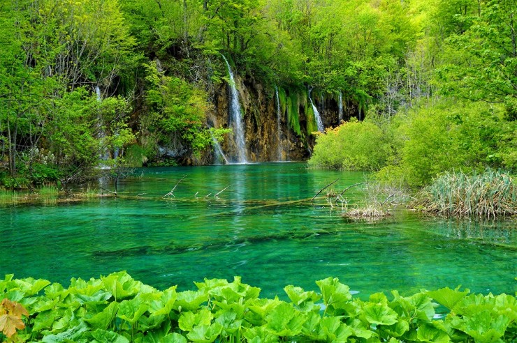 9枚目の画像 世界の絶景 水と緑の楽園が見せる絶景 クロアチアの世界遺産 プリトヴィツェ湖群国立公園 お店の情報 Gotrip 明日 旅に行きたくなるメディア