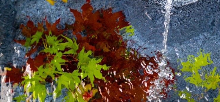 【世界の絶景】緑が織りなす絶景、京都・瑠璃光院の青紅葉