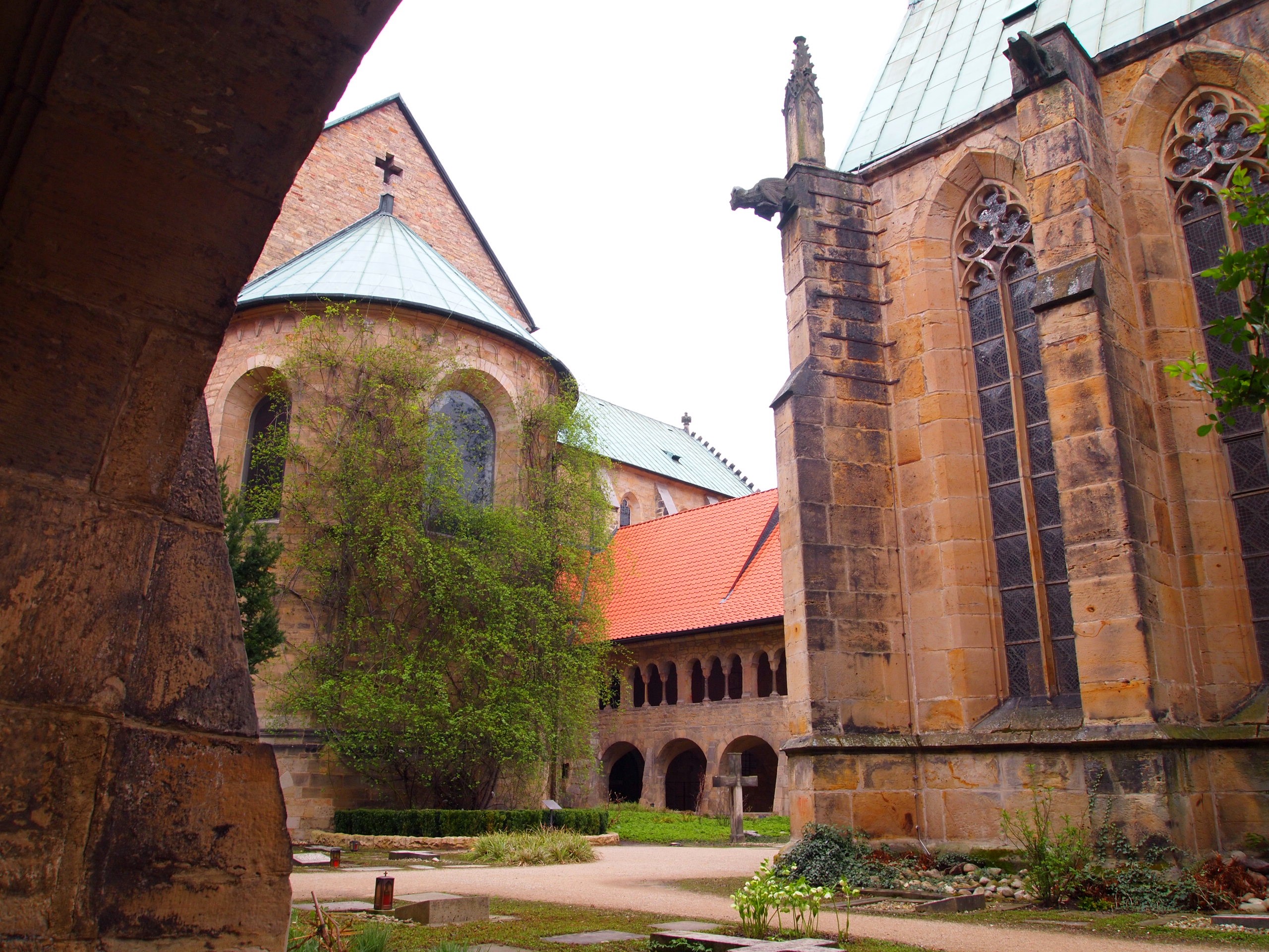 まさに奇跡！ドイツ・ヒルデスハイムの聖マリア大聖堂に1000年以上生きている薔薇が存在する