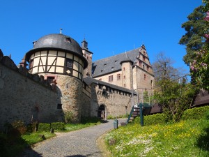 P4305056
