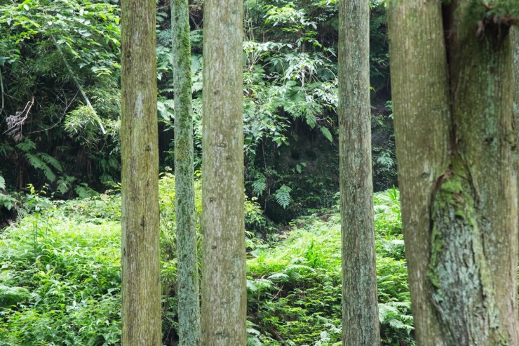日本で唯一の銀鉱山王国！今年で世界遺産登録10周年を迎えた島根県大田市の「石見銀山」の歴史と自然を満喫