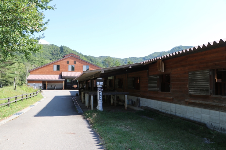 開田高原「木曽馬の里」で心優しい木曽馬とふれあい、乗馬体験や散策を楽しもう！