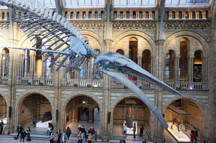 イギリス ロンドンに行くならはずせない 動く恐竜にも会える 自然史博物館 Gotrip 明日 旅に行きたくなるメディア