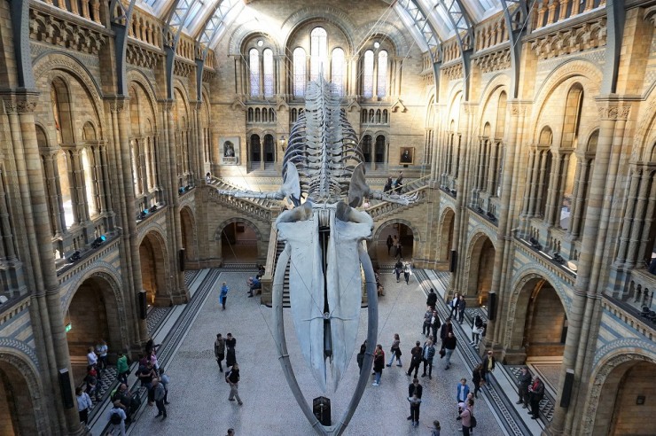イギリス ロンドンに行くならはずせない 動く恐竜にも会える 自然史博物館 Gotrip 明日 旅に行きたくなるメディア