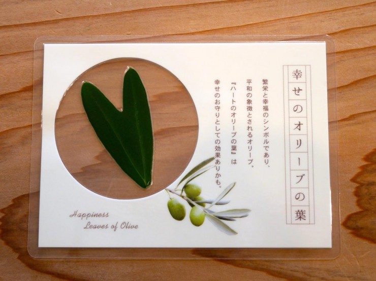 幸運を運ぶオリーブ探し体験！香川県「小豆島オリーブ公園」でハートのオリーブの葉を探そう