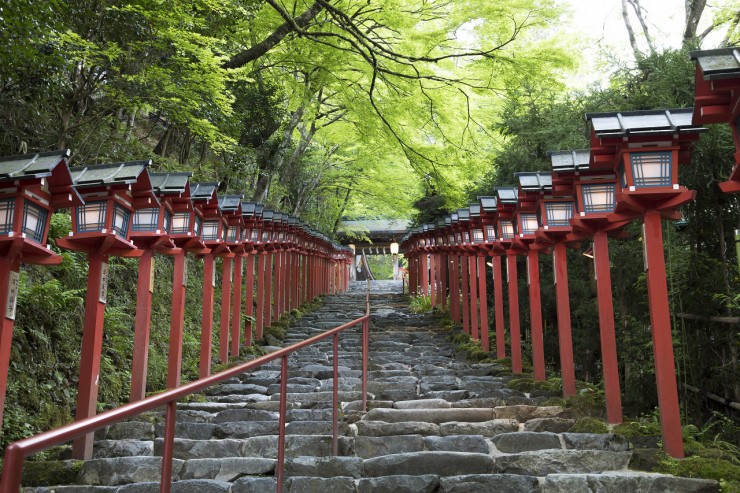 京都のパワースポット「貴船神社」で特別御朱印めぐりと青もみじを楽しむ！5月限定で夜間ライトアップも開催！
