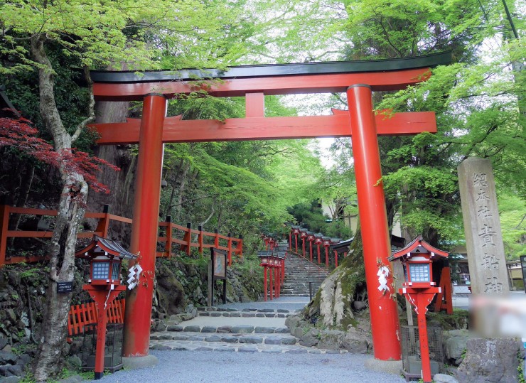 京都のパワースポット「貴船神社」で特別御朱印めぐりと青もみじを楽しむ！5月限定で夜間ライトアップも開催！