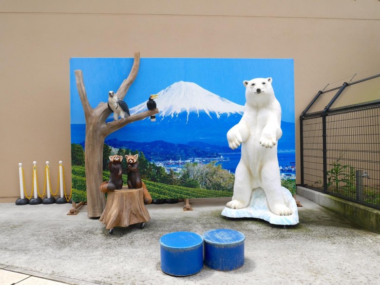 東京からわずか1時間！週末に楽しめる「静岡市」の注目スポット「日本平動物園」