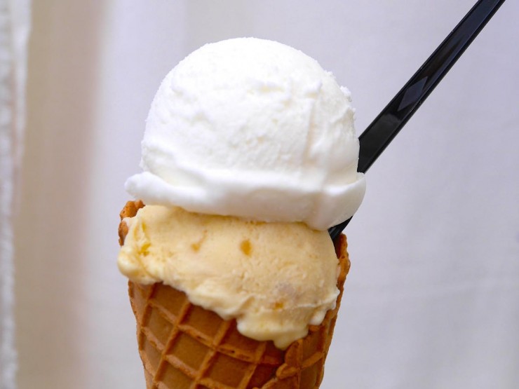朝搾りたての牛乳で作るアイスクリームが絶品！島根県・飯南町『ラムネMILK堂』
