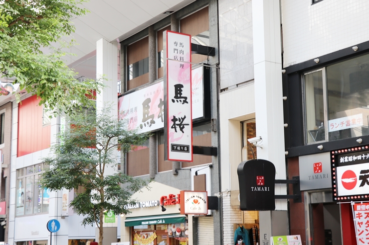熊本馬肉ダイニング 馬桜（うまさくら）・熊本下通り店