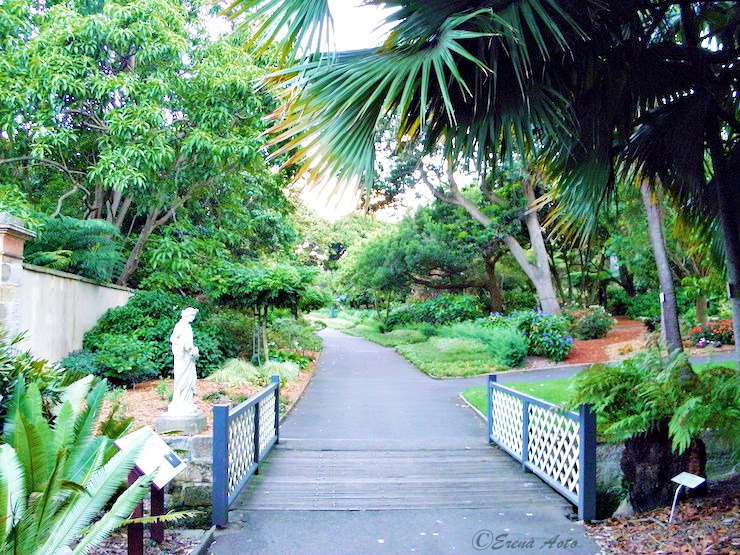 オーストラリアの大都市シドニーと共存する緑の楽園 王立植物園 Gotrip 明日 旅に行きたくなるメディア