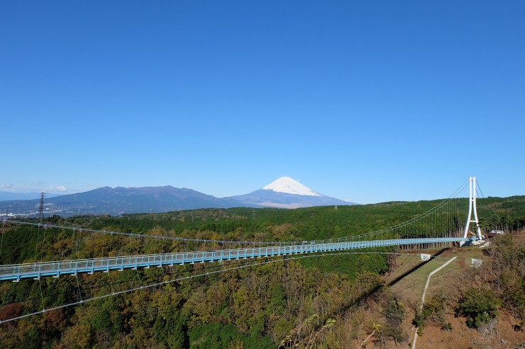 【日本の絶景】最長400m！静岡が誇る大吊り橋『三島スカイウォーク』を歩いてみた