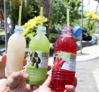 desarufruitfarm024