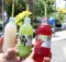desarufruitfarm024