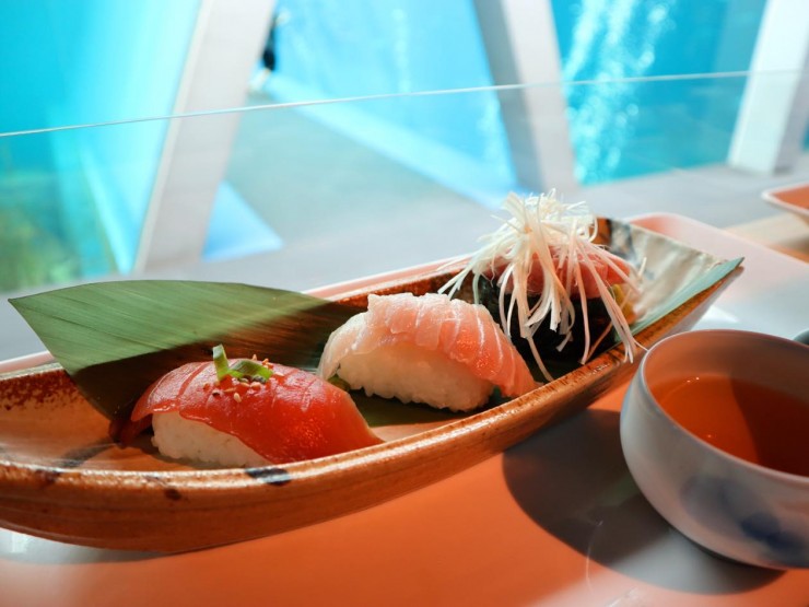 大水槽を眺めながらお寿司を味わう！福島県いわき市『アクアマリンふくしま』の寿司処「潮目の海」とは？