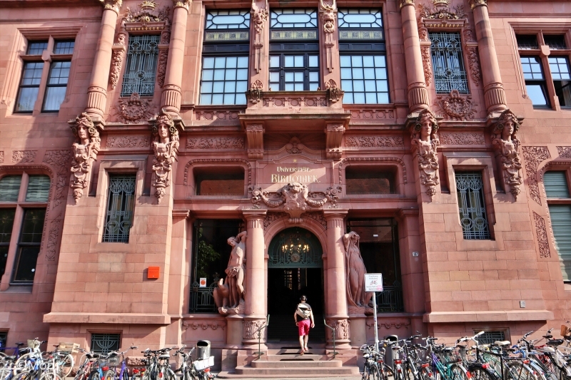 世界の図書館】まるでお城の様なドイツのハイデルベルク大学