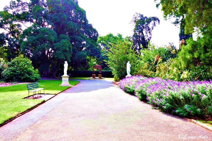世界の街角 オーストラリア 貴婦人 アデレードにある優雅な憩いの場 アデレード植物園 Adelaide Botanic Garden Gotrip 明日 旅に行きたくなるメディア