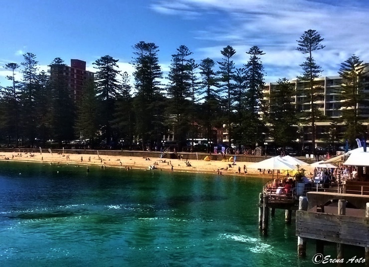 世界の街角 オーストラリア シドニーにあるサーファーの聖地 マンリービーチ Gotrip 明日 旅に行きたくなるメディア