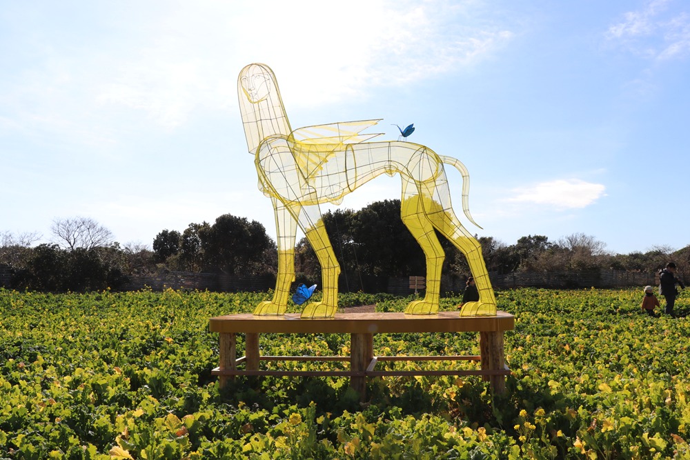 渥美半島菜の花まつり2025開催中。菜の花とコラボしたアート作品を見に
