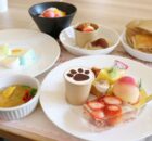 Flat lay of assorted desserts on white plates: strawberry cake, macarons, fruit tart, peaches, and a cup with paw-print cocoa.