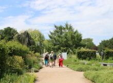 Group of five visitors walking along a gravel garden path, surrounded by trees and lush greenery on a sunny day.
